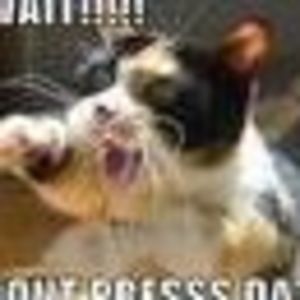 Meet your Posher, Sandi